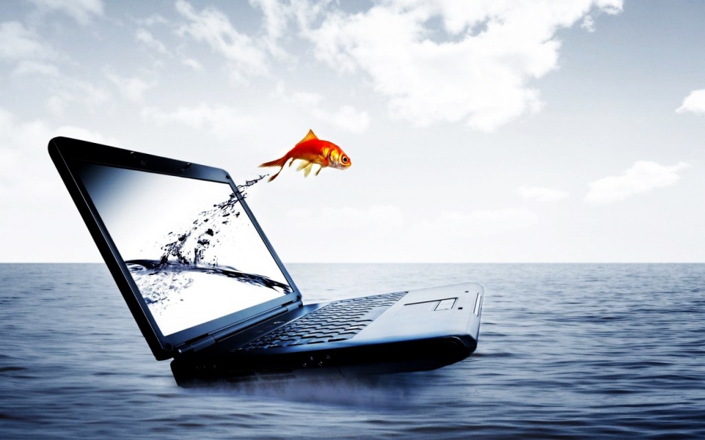 fish-jump-in-computer-backgrounds-powerpoint